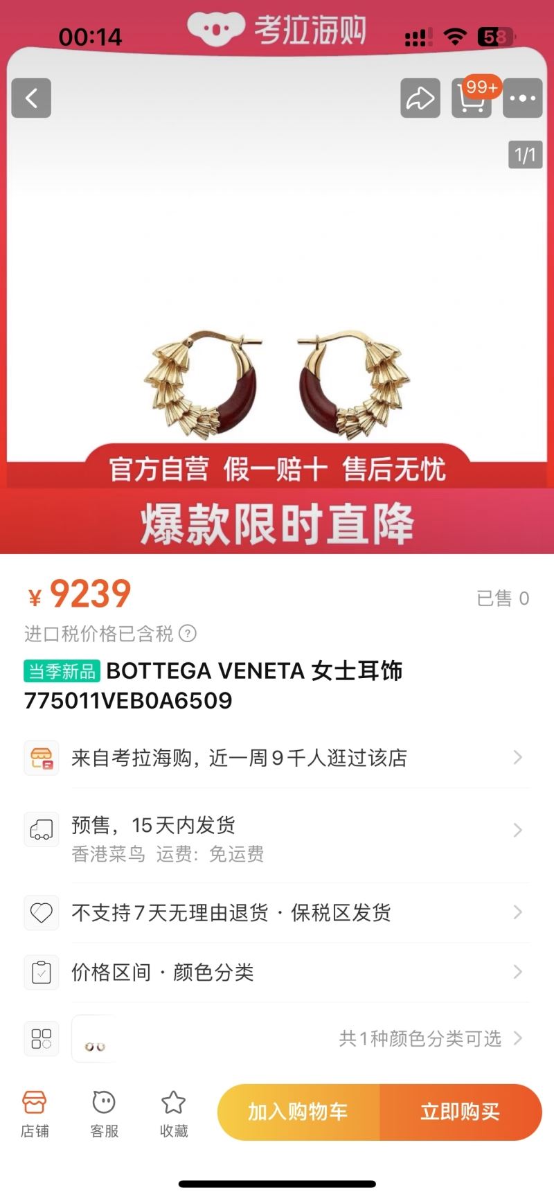 Bottega Veneta Earrings